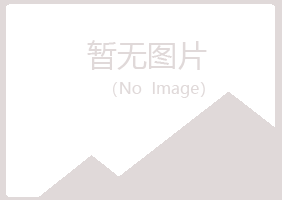 山东夏岚采矿有限公司